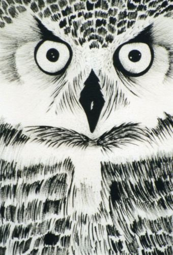 Barn-Owl