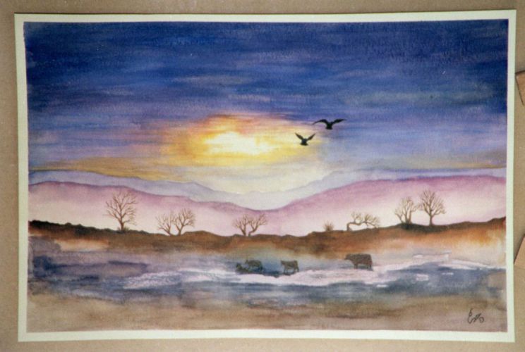 Country-Scene