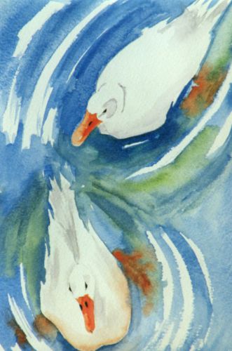Ducks-on-Water