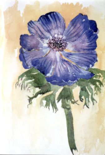 Flower-01
