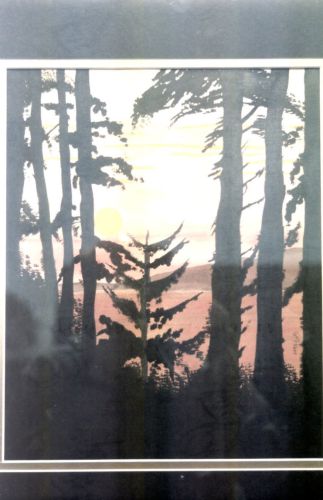 Forest-No2
