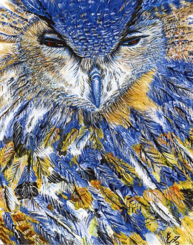 Midnight-Owl