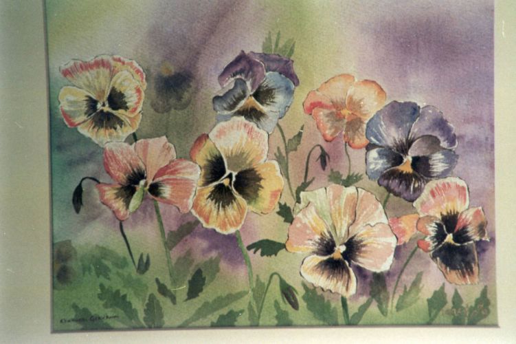 Pansies