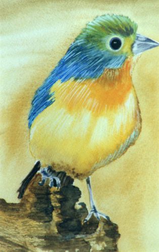 Small-Bird