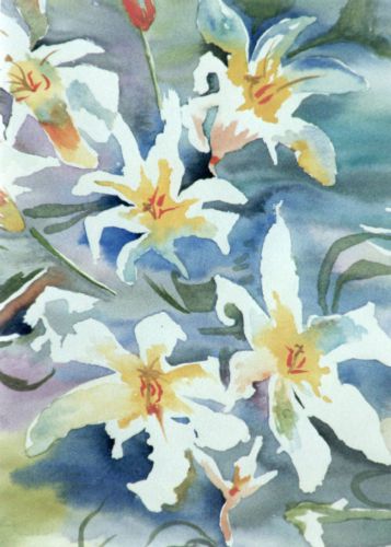 Summer-Lillies