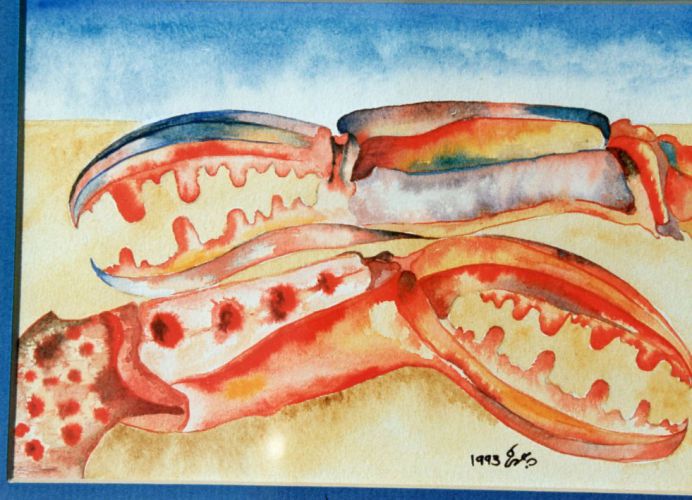 The-Crabs