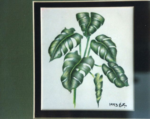 The-Plant
