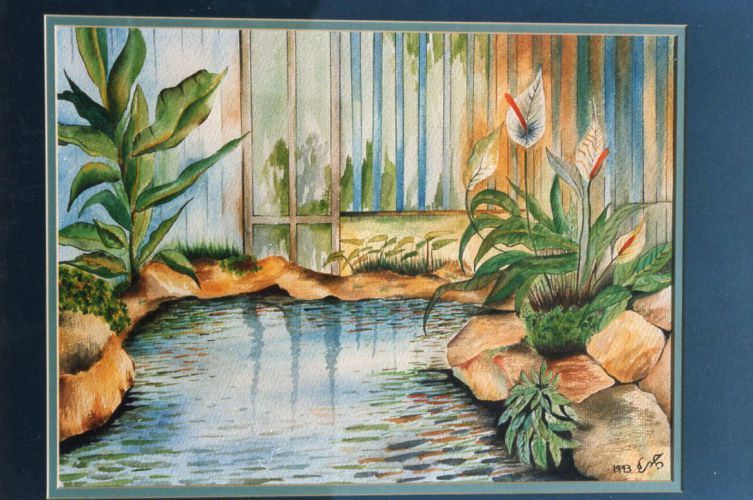 The-Pond