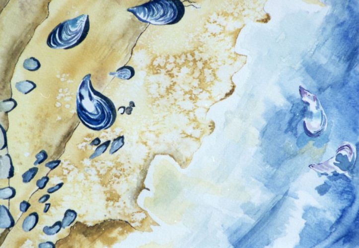 The-Seashore-02