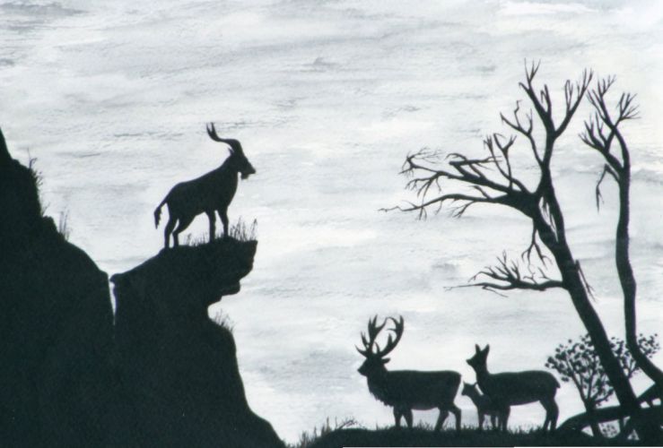 Wild-Life